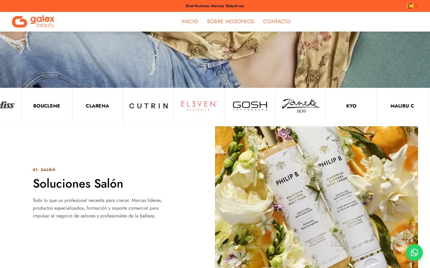 Sección «Soluciones Salón» de galexbeauty.es, bajo la franja de marcas